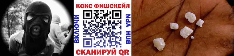 мориарти формула Курильск Кокаин Эквадор
