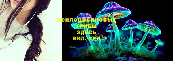 гашишное масло Богданович