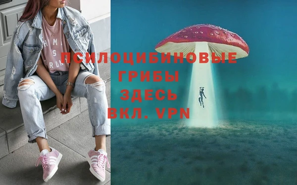 дживик Богородск