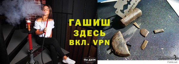 дживик Богородск