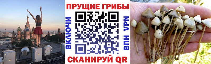 Галлюциногенные грибы прущие грибы Курильск