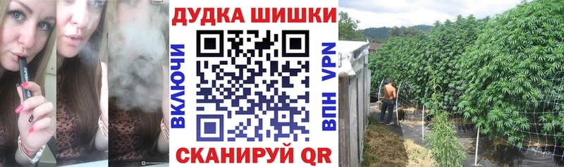 МАРИХУАНА гибрид Курильск